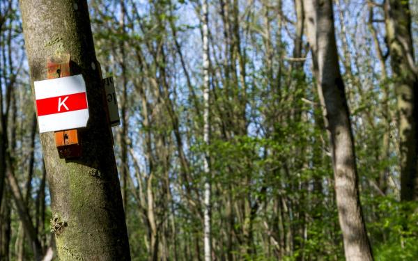 Ein Schild an einem Baum im Wald