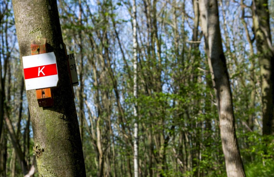 Markierter Karstwanderweg im Harz 